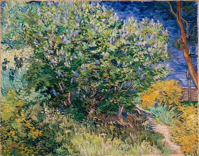 Fliederbusch von Vincent van Gogh